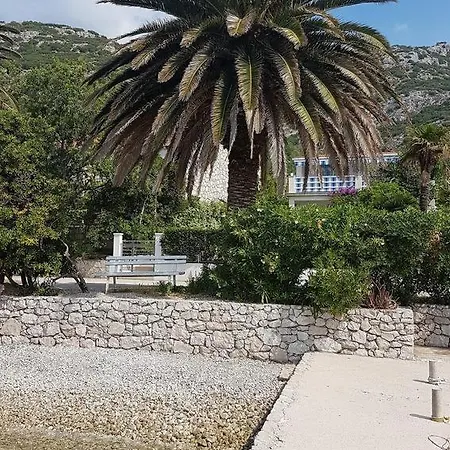 Apartman By The Sea Viganj, Peljesac - 16259